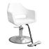 Ecco Ava Styling Chair - White (clearance)