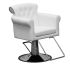 Deco Elizabeth Styling Chair - White (clearance)