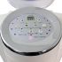 Premium Ozone Hair Steamer