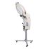 Premium Ozone Hair Steamer