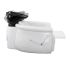 Deco Riza Shampoo Station (clearance)