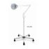 Deco Magnifying Lamp